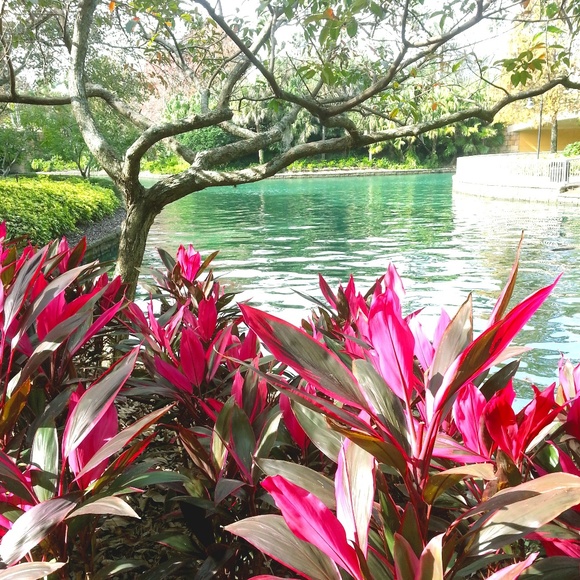 Meet your Posher, Gabriella - Picture 1 of 1